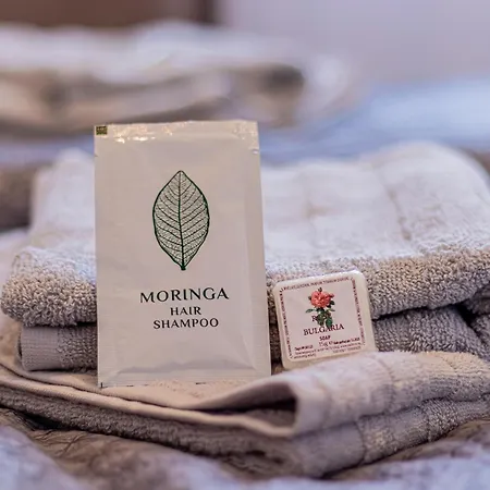 Eiffel Elegance - Stylish Apartament Sofia